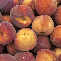 Buy canvas prints of Peaches by Paul Chambers