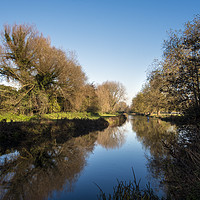 Buy canvas prints of River Itchen by Paul Chambers