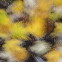Buy canvas prints of Autumnal colours by Paul Chambers