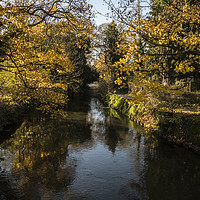 Buy canvas prints of Autumn Colours by Paul Chambers
