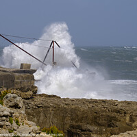Buy canvas prints of PORTLAND BILL by Paul Chambers
