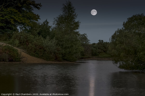 Moonlit Cadnam Pool Picture Board by Paul Chambers