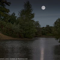 Buy canvas prints of Moonlit Cadnam Pool by Paul Chambers