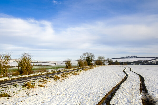 Winter Scenes in Wiltshire Picture Board by Paul Chambers