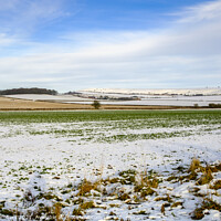 Buy canvas prints of Winter Scenes in Wiltshire a snow covered field at by Paul Chambers