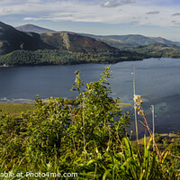 Buy canvas prints of Derwent Water Panorama  by Paul Chambers