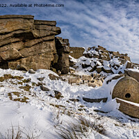 Buy canvas prints of Sheep Shelter by Mark Tomlinson