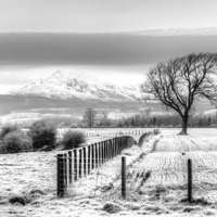 Buy canvas prints of  Winter Field by GBR Photos