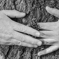 Buy canvas prints of Tree Hug by GBR Photos