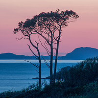 Buy canvas prints of Morar Tree at Sunset by GBR Photos