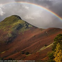 Buy canvas prints of CATBELLS' AUTUMN by Tony Sharp LRPS CPAGB