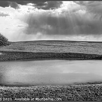 Buy canvas prints of DEWPOND by Tony Sharp LRPS CPAGB