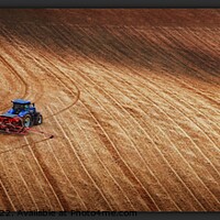 Buy canvas prints of PLOUGHING THE SOUTH DOWNS by Tony Sharp LRPS CPAGB