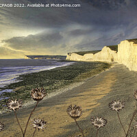 Buy canvas prints of BIRLING GAP AND SEVEN SISTERS by Tony Sharp LRPS CPAGB