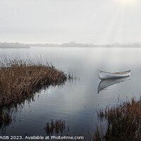 Buy canvas prints of ON A MISTY MORNING - RYE HARBOUR NATURE RESERVE by Tony Sharp LRPS CPAGB