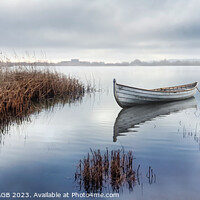 Buy canvas prints of AMONGST THE MIST -RYE HARBOUR NATURE RESERVE by Tony Sharp LRPS CPAGB