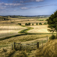 Buy canvas prints of  The Hanging Field by Tony Sharp LRPS CPAGB