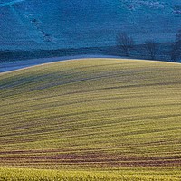 Buy canvas prints of Downland Dusk by Tony Sharp LRPS CPAGB