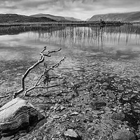 Buy canvas prints of Glenveagh National Park, Co. Donegal, Ireland by Tony Sharp LRPS CPAGB