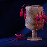 Buy canvas prints of Fuchsia Buds and Blooms in Alabaster Cup by Tony Sharp LRPS CPAGB