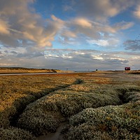Buy canvas prints of Towards the End of the Day - Rye Harbour, E. Susse by Tony Sharp LRPS CPAGB