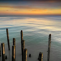 Buy canvas prints of GUARDIANS by Tony Sharp LRPS CPAGB