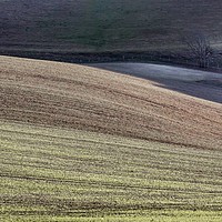 Buy canvas prints of DOWNLAND WAVES by Tony Sharp LRPS CPAGB
