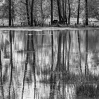 Buy canvas prints of REFLECTIONS IN A FLOODED MEADOW by Tony Sharp LRPS CPAGB