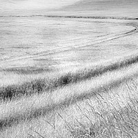 Buy canvas prints of SWEEPING THROUGH -SOUTH DOWNS by Tony Sharp LRPS CPAGB