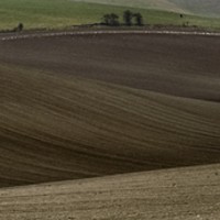 Buy canvas prints of PLOUGHING THE SOUTH DOWNS 2 by Tony Sharp LRPS CPAGB