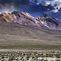 Buy canvas prints of THE PERUVIAN HIGH PLAINS by Tony Sharp LRPS CPAGB