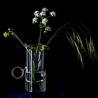 Buy canvas prints of MEADOW FLOWERS AND GRASS STEM IN AN ELEGANT GLASS  by Tony Sharp LRPS CPAGB
