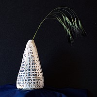 Buy canvas prints of Conidae (Cone Shell)  Vase Displaying Grass Sprig by Tony Sharp LRPS CPAGB