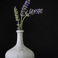 Buy canvas prints of GARLIC BULB DESIGN VASE WITH THREE LAVENDER SPRIGS by Tony Sharp LRPS CPAGB
