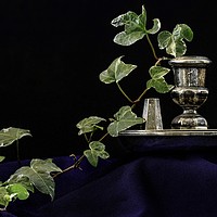 Buy canvas prints of CANDLE HOLDER WITH IVY SPRIG by Tony Sharp LRPS CPAGB
