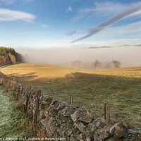 Buy canvas prints of Tweed Valley Mist by Reg K Atkinson