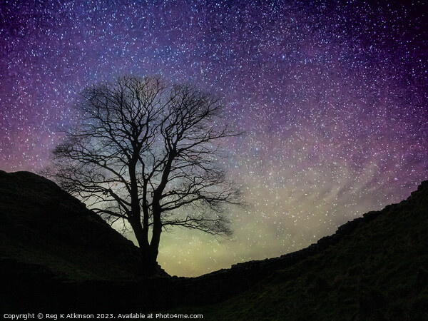 Starry Night Sycamore Gap Picture Board by Reg K Atkinson