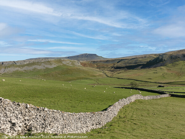 Crummack Dales and Ingleborough Picture Board by Reg K Atkinson