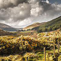 Buy canvas prints of College Valley Northumberland by Reg K Atkinson