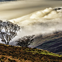 Buy canvas prints of Two Trees with Rolling Clouds by Reg K Atkinson