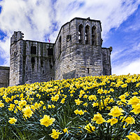 Buy canvas prints of Spring at Warkworth Castle by Reg K Atkinson