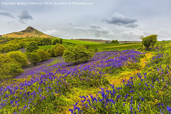 Spring at Rosebery Topping Picture Board by Reg K Atkinson