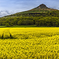 Buy canvas prints of Roseberry Topping  by Reg K Atkinson
