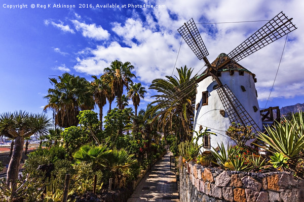 El Molino Blanco - The White Windmill Picture Board by Reg K Atkinson