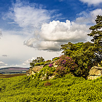 Buy canvas prints of Cheviots From The Old Fort by Reg K Atkinson