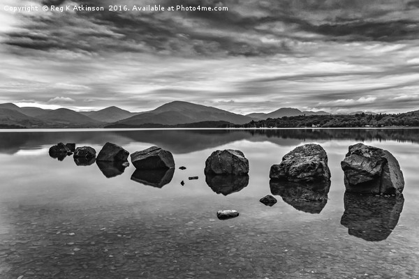 Rocks at Loch Lomond Picture Board by Reg K Atkinson