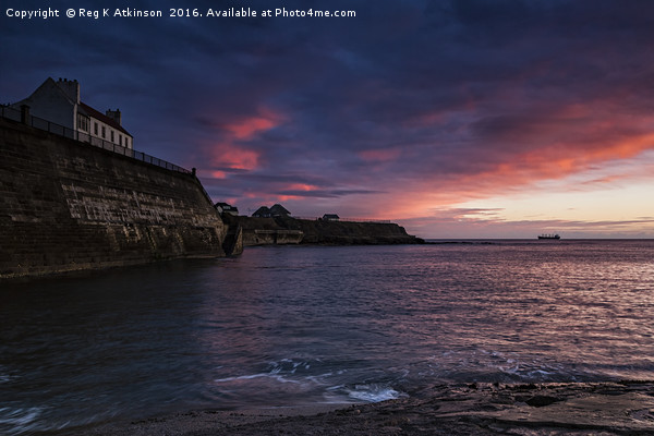 Daybreak At Cullercoats Picture Board by Reg K Atkinson