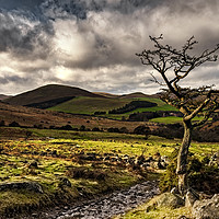 Buy canvas prints of College Valley, Northumberland by Reg K Atkinson