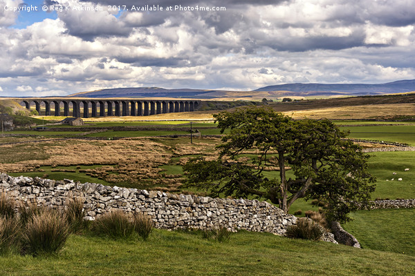 Ribblehead Viaduct Picture Board by Reg K Atkinson