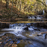 Buy canvas prints of Summerhill Force by Reg K Atkinson